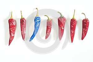 Business metaphor,solution,innovation,idea,consulting,unique features concept, row of red hot peppers with one blue colored, flat