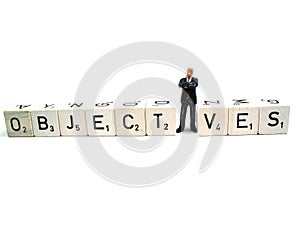 Business objectives