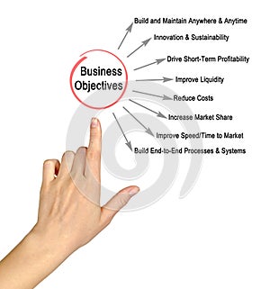 Business Objectives