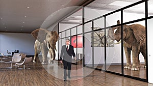 Business Office, Sales, Marketing, Elephants