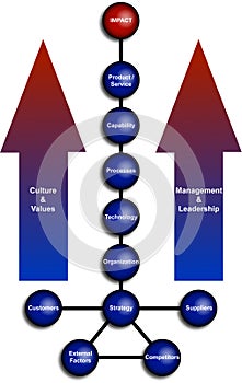 Business Organization Diagram