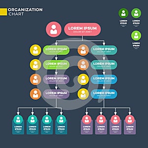 Business organizational structure. Vector hierarchy chart