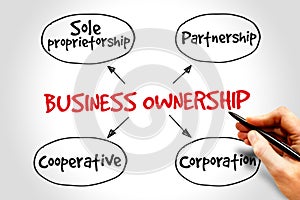 Business ownership photo