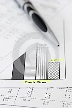 Business papers and ballpen