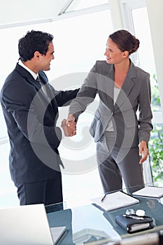 Business partner shaking hands after closing a deal