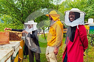 Business partners with an experienced senior beekeeper checking the quality and production of honey at a large bee farm