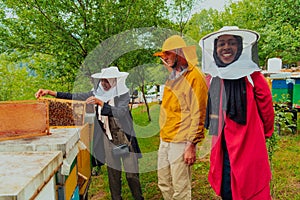 Business partners with an experienced senior beekeeper checking the quality and production of honey at a large bee farm