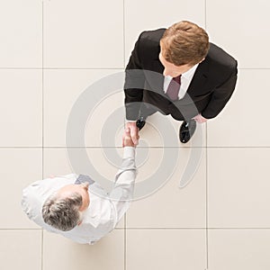 Business partners handshaking.