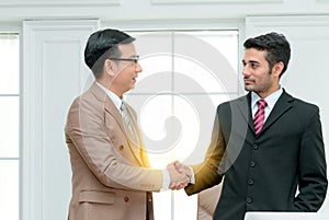 Business partners handshaking after striking deal