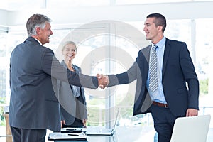 Business partners shaking hands