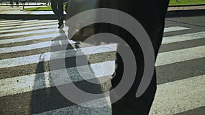 Business people crossing street, hurrying to office center, routine working day