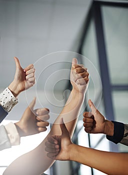 Business people, hands or thumbs up in agreement for winning, good job or teamwork success together. Hand of group of