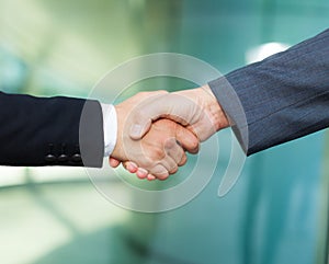 Business people handshake: team work