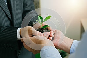Business people holding plants in soil at work.Concept of the Environment World Earth Day