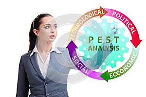 Business people in PEST analysis business concept