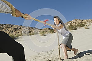 Business People Playing Tug Of War