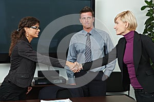 Business people shaking hands