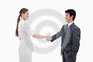 Business people shaking hands