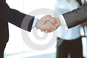 Business people shaking hands while standing with colleagues after meeting or negotiation, close-up. Group of unknown