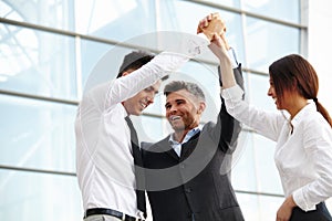 Business People. Successful Team Celebrating a Deal