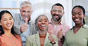 Business people, thumbs up and portrait for success, teamwork celebration and like, winner goals or thank you. Corporate
