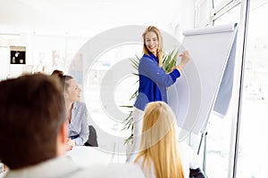 Business plan explained on flipchart