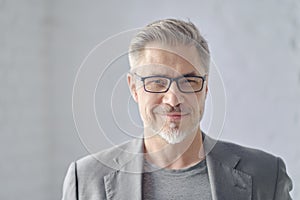 Business portrait - businessman with gray hair and glasses