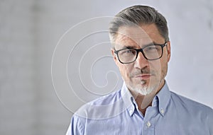 Business portrait - businessman with gray hair and glasses