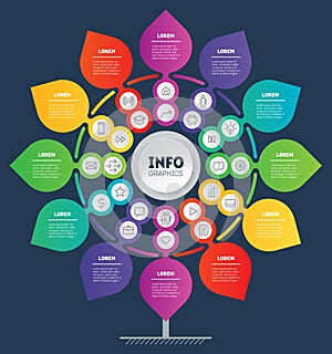 Business presentation or info graphics concept with 12 steps and 24 icons. Template of development tree. Diagram looks like Flower