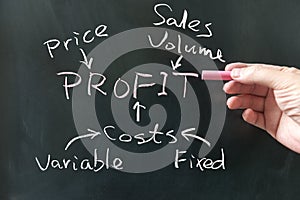 Business profit concept