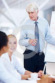 Business profit. Portrait of senior male executive giving presentation to his team.