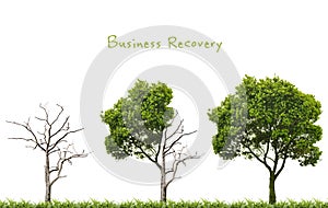 Business recovery concept photo