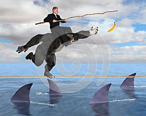 Business Risk Management, Sales, Marketing photo