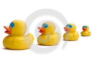 Business sayings, get our ducks in a row