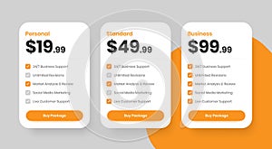 Business service solutions pricing package layout with checkmark icon
