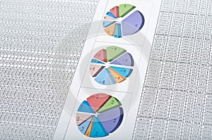 Business set. Charts and diagrams