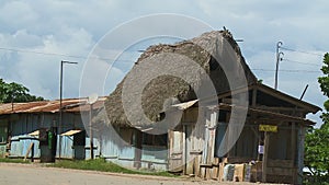 Business with Straw Hut Roof