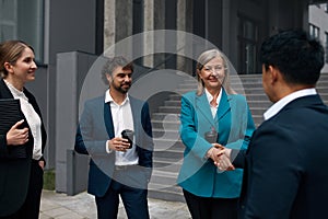 Business Team Greeting Each Other. Woman Shake Hands While Communicating with Man