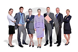 Business team seven people isolated