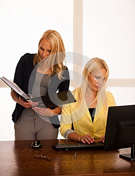 Business team - two women work in the office checking database