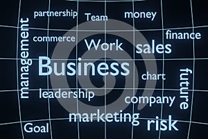 Business text Word Cloud background 3d rendering