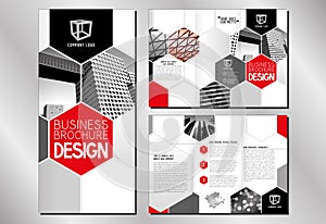 Business trifold brochure template A4 to DL format