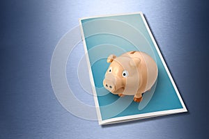 Business Wealth Brochure Piggybank photo