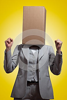Business woman with a cardboard box head