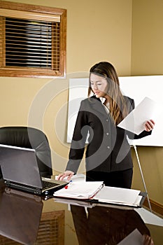 Business Woman Desk