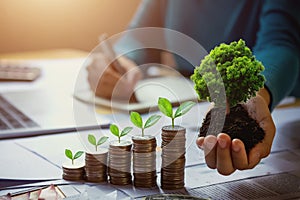 business woman hand holding tree with plant growing on coins. concept saving money and earth photo