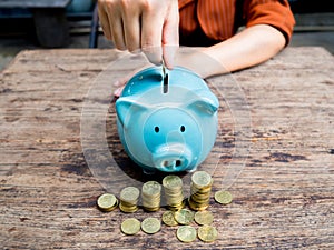 Business woman hand putting coin into  blue piggy bank with gold coins pile growth graph, Saving money for future investment plan