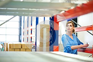 Business woman inspector doing inventory in a warehouse