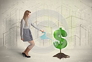 Business woman poring water on dollar tree sign on city background