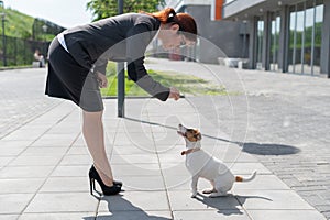 Business woman in a suit and high heels is training a puppy of Jack Russell Terrier on the street. Little dog executes a